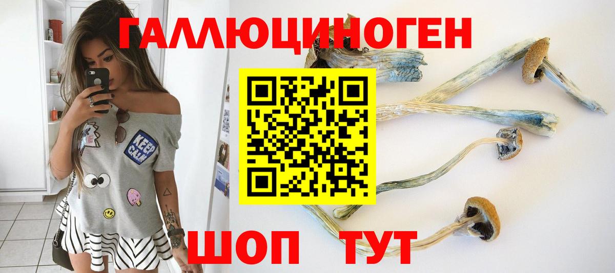 Галлюциногенные грибы Magic Shrooms Лениногорск