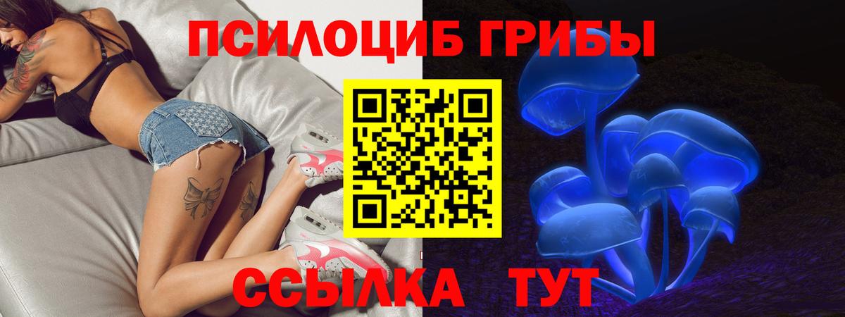 Псилоцибиновые грибы Psilocybe  Псилоцибиновые грибы Cubensis  купить   Вход с VPN  Лениногорск 